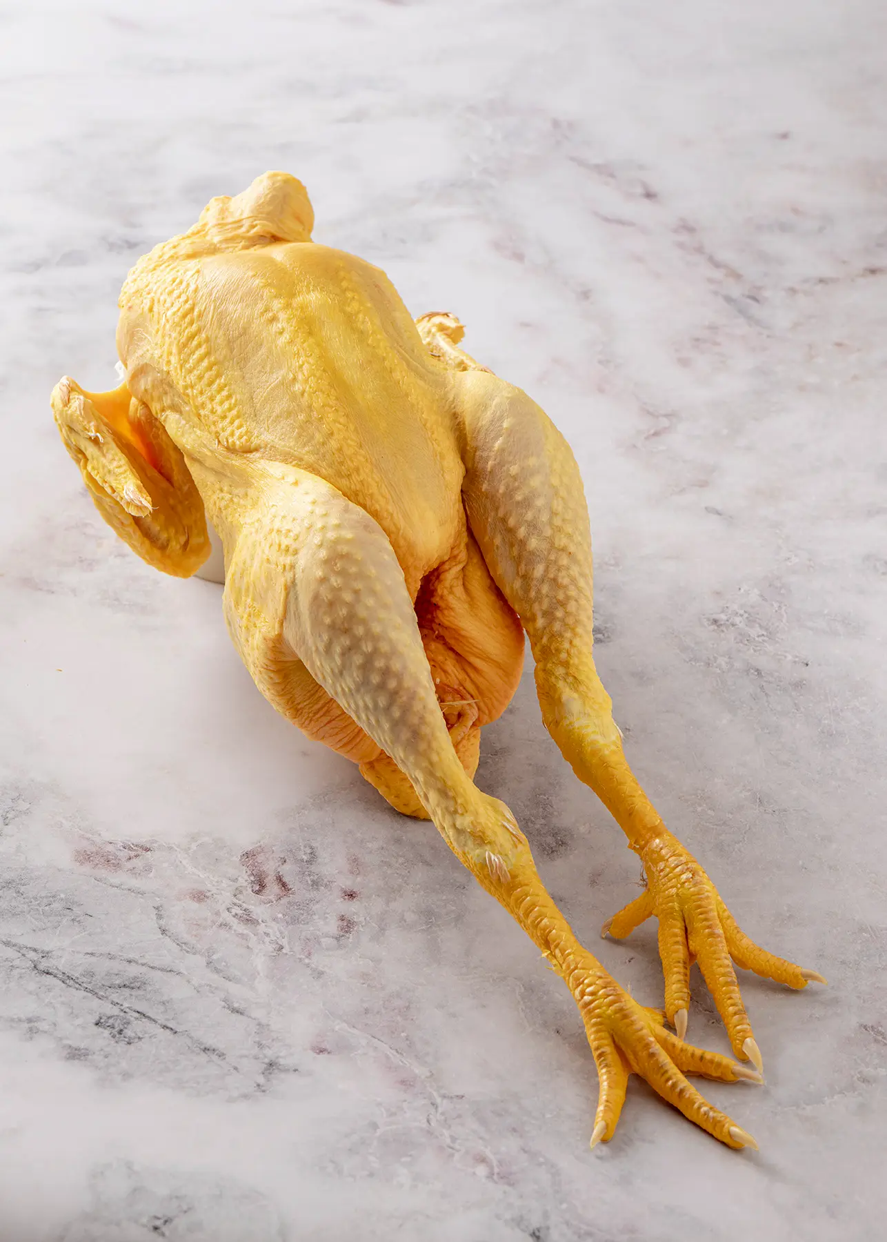 Ave de corral - Pollo Lumagorri